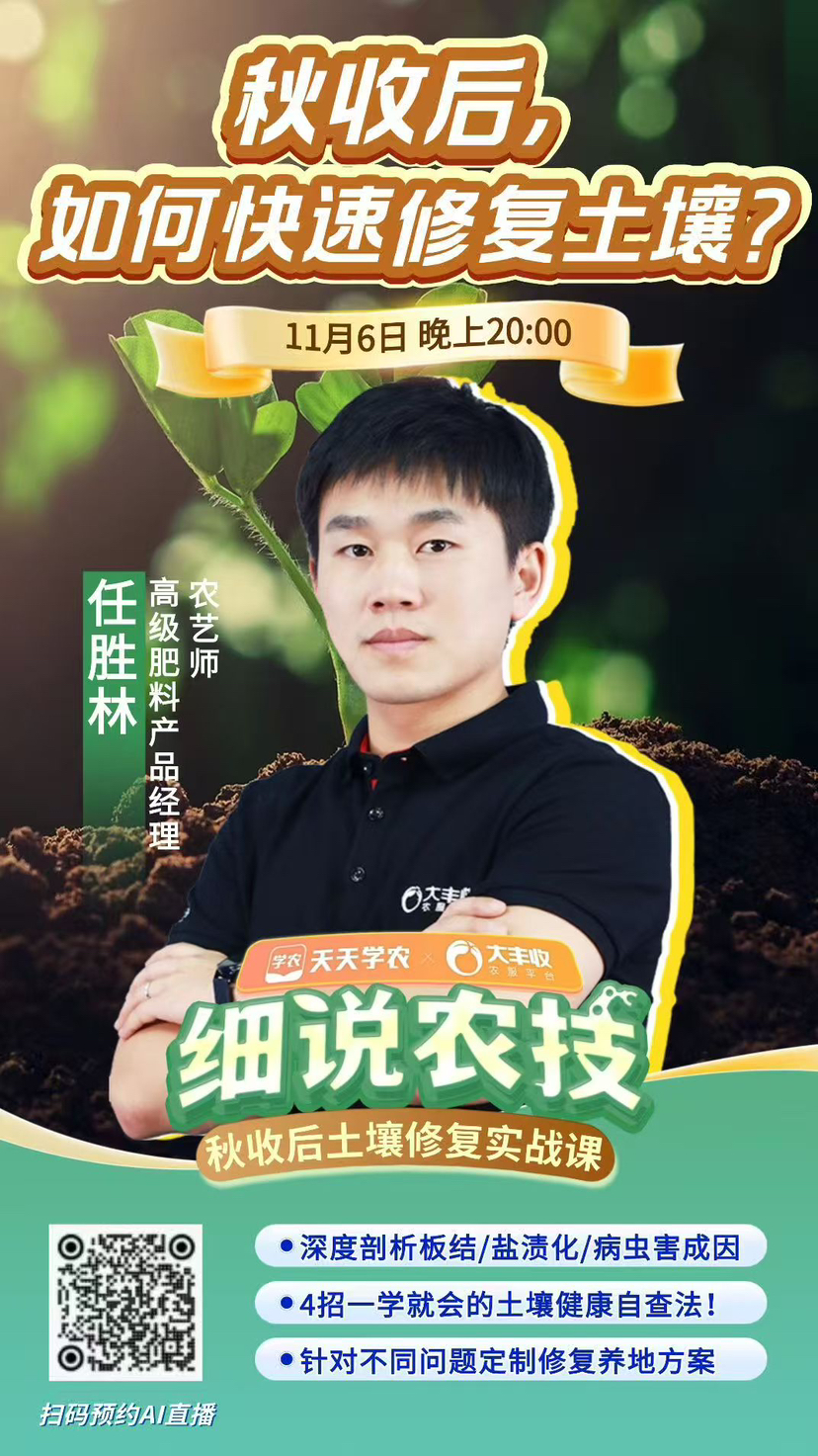 http://st-static1.chinamiddle.com/forums/2025/11/05/17623094603355.png