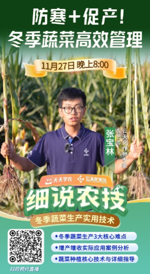 http://st-static1.chinamiddle.com/forums/2025/11/25/17640398113563.png