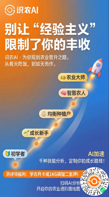 http://st-static1.chinamiddle.com/forums/2025/11/27/17642315792371.png