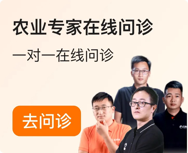 http://st-static1.chinamiddle.com/forums/2025/12/04/17648348949299.png