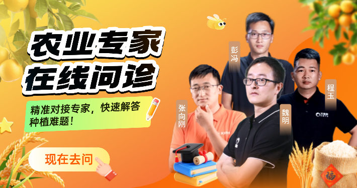 http://st-static1.chinamiddle.com/forums/2025/12/04/17648350671478.png
