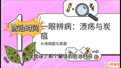 第三节：细菌与真菌&mdash;&mdash;溃疡病与炭疽病，课程：《柑橘十大病虫害：从入门到精通》