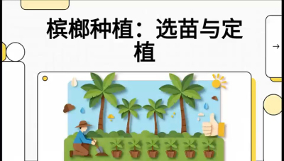 第01节：选苗与定植&mdash;&mdash;&ldquo;苗好一半收，底肥定千秋&rdquo;课程：《槟榔种植：从不懂到精通的10堂必修课》