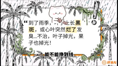第05节：常见真菌病害&mdash;&mdash;&ldquo;炭疽与烂心，早防值千金&rdquo;《槟榔种植：从不懂到精通的10堂必修课》