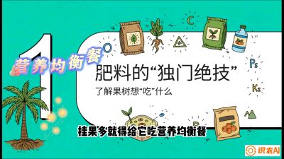 第07节：科学施肥&mdash;&mdash;&ldquo;氮磷钾配好，树壮果不倒