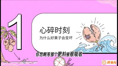 第08节：微量元素与保果&mdash;&mdash;&ldquo;补硼又补钙，果子不裂坏&rdquo;《槟榔种植：从不懂到精通的10堂必修课》