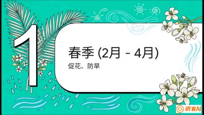 第10节：周年农事日历&mdash;&mdash;&ldquo;跟着节气走，丰产在手头&rdquo;《槟榔种植：从不懂到精通的10堂必修课》