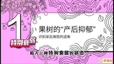 第2节：【冬肥策略】采后&ldquo;月子肥&rdquo;：大小年的精准干预术，课程：《柑橘底肥&ldquo;翻身账&rdquo;：从改土到高产的实战全书》