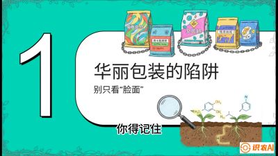 第4节：【黄金配方】底肥里的&ldquo;铁三角&rdquo;与&ldquo;微量雷区&rdquo;课程：《柑橘底肥&ldquo;翻身账&rdquo;：从改土到高产的实战全书》