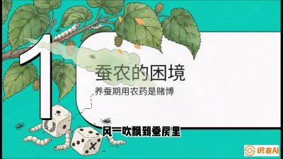 第06节：虫口夺叶（上）&mdash;&mdash;物理与生物防控绝技，课程《桑海淘金：桑树高产与蚕桑安全进阶实战课》