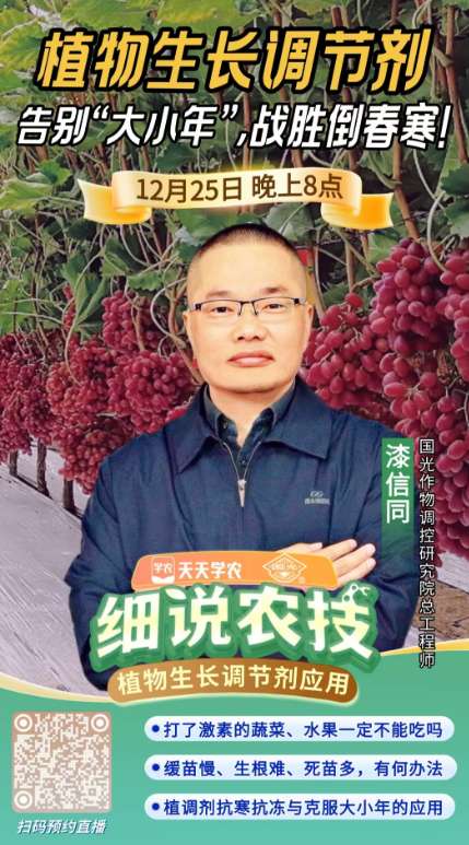 http://st-static1.chinamiddle.com/forums/2025/12/23/17664639985811.png