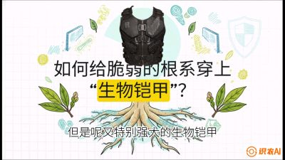 第三节：国产榴莲突围战：根系堡垒，菌根微生态构建与黄金定植窗口，课程：《国产榴莲突围战：从泰国经验到中国实操的8堂必修课（高阶实战版）》