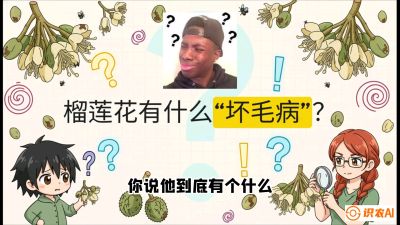 第六节：榴莲的午夜战事，夜间授粉战与花果期避雨策略，课程：《国产榴莲突围战：从泰国经验到中国实操的8堂必修课（高阶实战版）》