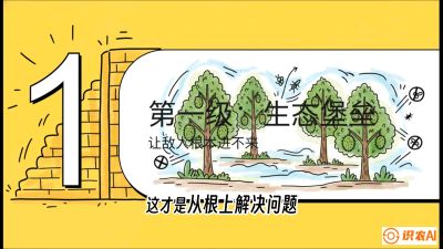 第七节：榴莲防御战：病虫害三级立体防控，疫霉菌与虫害的立体封锁线，课程：《国产榴莲突围战：从泰国经验到中国实操的8堂必修课（高阶实战版）》