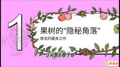 第3节：无人机专治&ldquo;打不透&rdquo;&mdash;&mdash;果树与高杆作物的穿透技巧，课程：《无人机植保搞钱必修课：从&ldquo;瞎飞&rdquo;到&ldquo;懂行&rdquo;的6步进阶》
