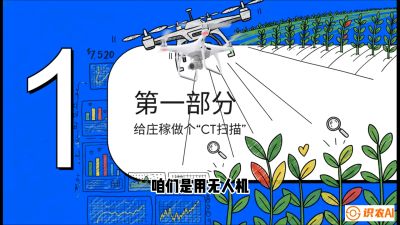第5节：无人机也能&ldquo;看病抓药&rdquo;&mdash;&mdash;处方图与变量施肥入门，课程：《无人机植保搞钱必修课：从&ldquo;瞎飞&rdquo;到&ldquo;懂行&rdquo;的6步进阶》