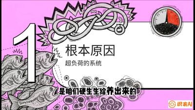 第三节：【爆款单品&middot;加州鲈】从&ldquo;玻璃鱼&rdquo;到&ldquo;摇钱树&rdquo;的通关秘籍，课程：《黄金鳞甲：2025中国淡水鱼高效养殖实战营》