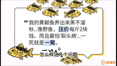 第四节：【黄金单品&middot;黄颡鱼】解决&ldquo;一点红&rdquo;与&ldquo;香蕉色&rdquo;的悖论，课程：《黄金鳞甲：2025中国淡水鱼高效养殖实战营》