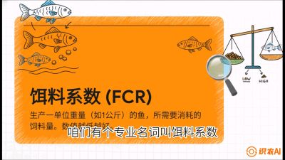 第五节：【高端单品&middot;鳜鱼】&ldquo;饲料鳜&rdquo;技术：打破吃活饵的高成本魔咒，课程：《黄金鳞甲：2025中国淡水鱼高效养殖实战营》