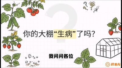 第2节（解毒篇）： 大棚里的&ldquo;红白绿&rdquo;警报&mdash;&mdash;读懂土壤盐渍化的求救信号，课程：《揭秘土壤的秘密：让土地帮你赚钱》#识农AI