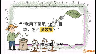第4节（活化篇）： 土壤里的&ldquo;雇佣兵&rdquo;&mdash;&mdash;如何用菌剂以小博大，解决死棵难题，课程：《揭秘土壤的秘密：让土地帮你赚钱》#识农AI