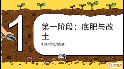 第6节（统筹篇）： 省钱又增产的&ldquo;黄金配比&rdquo;&mdash;&mdash;不同作物全年的养土实操方案，课程：《揭秘土壤的秘密：让土地帮你赚钱》#识农AI