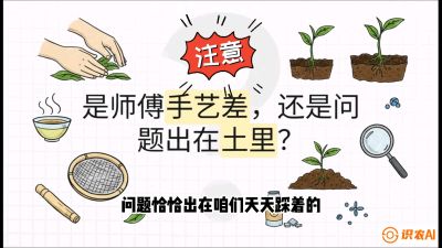第02节（土肥篇）：告别&ldquo;苦涩水味&rdquo;：揭秘&ldquo;碳氮比&rdquo;调控术，种出自带兰花香的好茶底，课程：《茶金时代：从&ldquo;看天吃饭&rdquo;到&ldquo;精准控局&rdquo;的茶叶高产提质实战课》