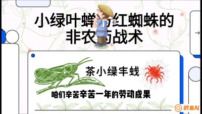 第03节（虫害篇）：看不见的吸血鬼：小绿叶蝉与红蜘蛛的&ldquo;非农药&rdquo;团灭战术（抗性治理），课程：《茶金时代：从&ldquo;看天吃饭&rdquo;到&ldquo;精准控局&rdquo;的茶叶高产提质实战课》