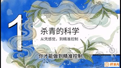 第05节（加工篇）：决胜2分钟：用&ldquo;数字温控&rdquo;破解杀青不匀，复刻大师级手工口感，课程：《茶金时代：从&ldquo;看天吃饭&rdquo;到&ldquo;精准控局&rdquo;的茶叶高产提质实战课》