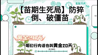 第2节：【苗期生死局】防猝倒、破僵苗，决定后期产量的&ldquo;黄金20天&rdquo;，课程：《辣椒种植实战特训营，从工业辣椒到精品小米辣，教你如何把&ldquo;草&rdquo;种成&ldquo;金&rdquo;》
