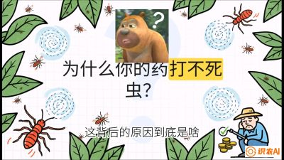 第4节：【虫害歼灭战】打不死的蓟马、隐形的茶黄螨：抗性时代的&ldquo;混配绝杀&rdquo;，课程：《辣椒种植实战特训营，从工业辣椒到精品小米辣，教你如何把&ldquo;草&rdquo;种成&ldquo;金&rdquo;》