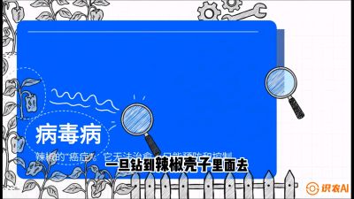 第5节：【病毒病阻击】辣椒的&ldquo;癌症&rdquo;怎么治？从&ldquo;绝收恐慌&rdquo;到&ldquo;带毒生产&rdquo;的逆转术，课程：《辣椒种植实战特训营，从工业辣椒到精品小米辣，教你如何把&ldquo;草&rdquo;种成&ldquo;金&rdquo;》