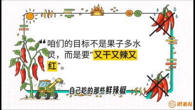 第7节：【工业辣椒专场】追求极致辣度！干物质提升与机械化采收的&ldquo;催红秘籍&rdquo;，课程：《辣椒种植实战特训营，从工业辣椒到精品小米辣，教你如何把&ldquo;草&rdquo;种成&ldquo;金&rdquo;》