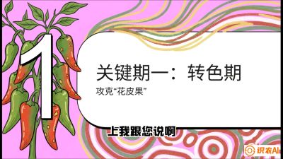 第8节：【小米辣线椒专场】颜值即正义！防花皮、防炭疽，打造收购商抢着要的&ldquo;精品果&rdquo;，课程：《辣椒种植实战特训营，从工业辣椒到精品小米辣，教你如何把&ldquo;草&rdquo;种成&ldquo;金&rdquo;》