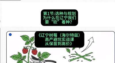 第一节： 选种与规划&mdash;&mdash;为什么在辽宁我们要&ldquo;砍&rdquo;着种？，课程：《辽宁树莓（海尔特兹）高产避坑实战课：从保苗到高价》
