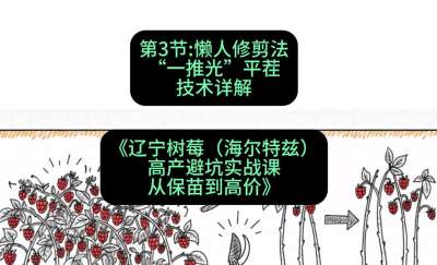 第三节： 懒人修剪法&mdash;&mdash;&ldquo;一推光&rdquo;平茬技术详解，课程：《辽宁树莓（海尔特兹）高产避坑实战课：从保苗到高价》