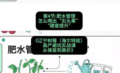 第四节： 肥水管理&mdash;&mdash;怎么喂出&ldquo;石头果&rdquo;（硬度提升），课程：《辽宁树莓（海尔特兹）高产避坑实战课：从保苗到高价》