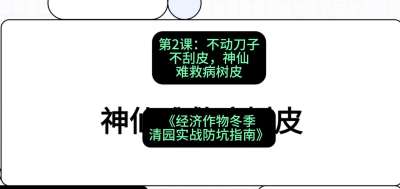 第2节：【物理手段】不动刀子不刮皮，神仙难救病树皮，课程：《经济作物冬季清园&middot;实战防坑指南》#识农AI