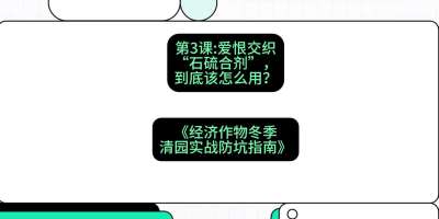 第3节：【核武药剂】爱恨交织的&ldquo;石硫合剂&rdquo;，到底该怎么用？，课程：《经济作物冬季清园&middot;实战防坑指南》#识农AI