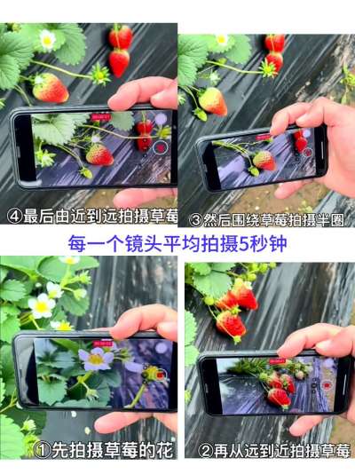 http://st-static1.chinamiddle.com/forums/2026/01/24/17692156443983.jpeg