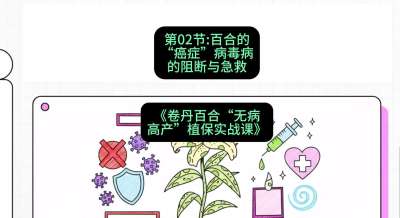 第02节：百合的&ldquo;癌症&rdquo;&mdash;&mdash;病毒病的阻断与急救，课程：《卷丹百合&ldquo;无病高产&rdquo;植保实战课》#识农AI