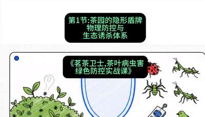 第01节：茶园的&ldquo;隐形盾牌&rdquo;&mdash;&mdash;物理防控与生态诱杀体系，课程：《茗茶卫士&mdash;&mdash;茶叶病虫害绿色防控实战课》#识农AI