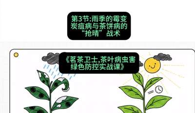 第03节：雨季的霉变&mdash;&mdash;炭疽病与茶饼病的&ldquo;抢晴&rdquo;战术，课程：《茗茶卫士&mdash;&mdash;茶叶病虫害绿色防控实战课》#识农AI