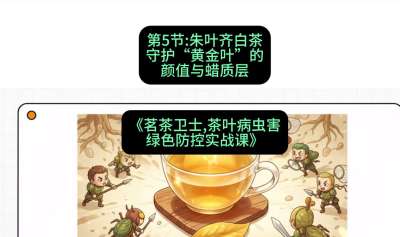 第05节：朱叶齐白茶&mdash;&mdash;守护&ldquo;黄金叶&rdquo;的颜值与蜡质层（重点），课程：《茗茶卫士&mdash;&mdash;茶叶病虫害绿色防控实战课》#识农AI