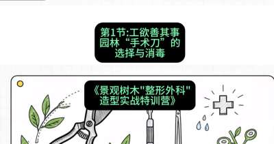 第01节：工欲善其事&mdash;&mdash;园林&ldquo;手术刀&rdquo;的选择与消毒，课程：《景观树木&ldquo;整形外科&rdquo;造型实战特训营》#识农AI