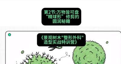 第02节：万物皆可盘&mdash;&mdash;&ldquo;精球形&rdquo;修剪的圆润秘籍，课程：《景观树木&ldquo;整形外科&rdquo;造型实战特训营》#识农AI
