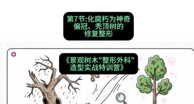 第07节：化腐朽为神奇&mdash;&mdash;偏冠、秃顶树的修复整形，课程：《景观树木&ldquo;整形外科&rdquo;造型实战特训营》#识农AI