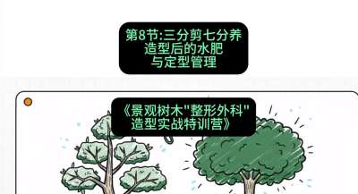 第08节：三分剪七分养&mdash;&mdash;造型后的水肥与定型管理，课程：《景观树木&ldquo;整形外科&rdquo;造型实战特训营》#识农AI