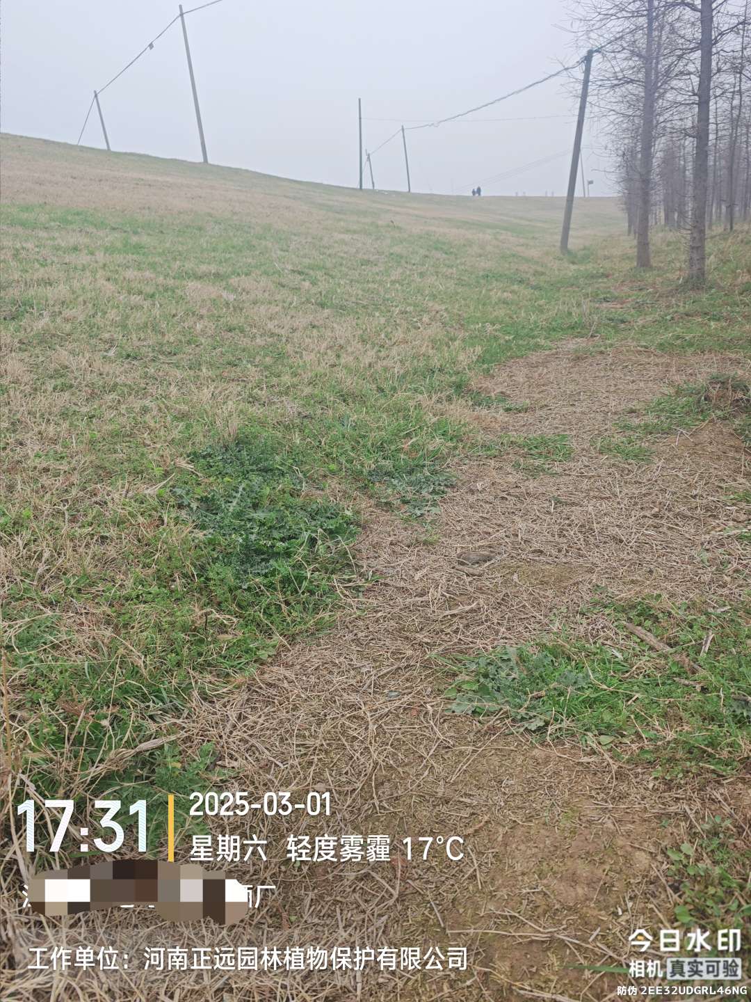 http://st-static1.chinamiddle.com/forums/2026/02/02/17700008893173.jpeg