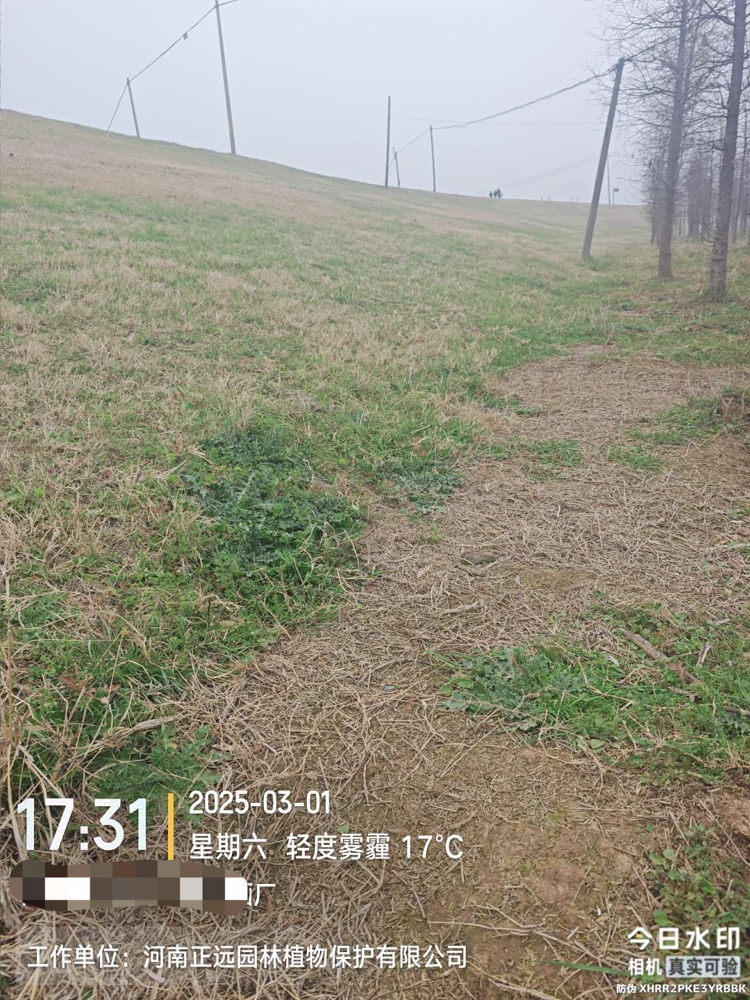 http://st-static1.chinamiddle.com/forums/2026/02/02/17700008909278.jpeg
